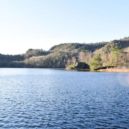 Pet Friendly In Ferienhaus *